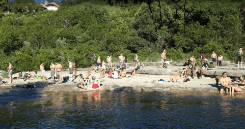 A crowded beach scene with people sunbathing and relaxing by the water, surrounded by greenery.