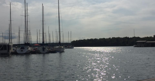 A serene marina with sailboats docked, reflecting sunlight on calm water under a cloudy sky.