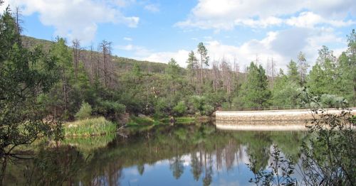 A serene lake surrounded by trees and hills, reflecting the sky and greenery on a calm day.
