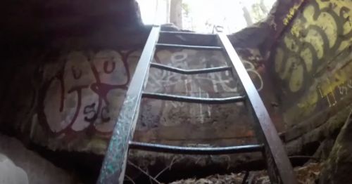 A metal ladder leads up through a graffiti-covered opening in a dark, wooded area.