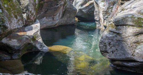 A serene river flows between moss-covered rocks, creating a tranquil natural scene.