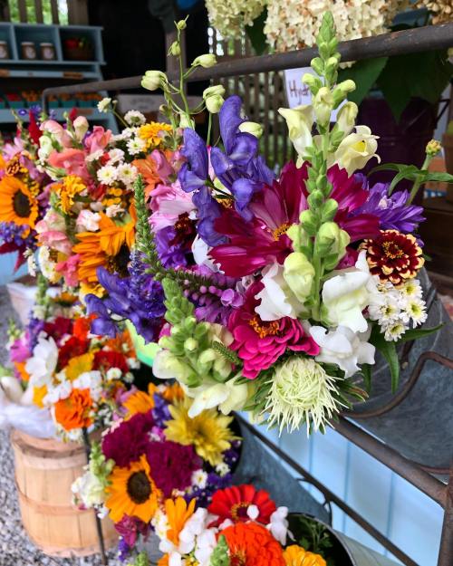 A vibrant display of assorted flowers in buckets, featuring sunflowers, zinnias, and snapdragons in various colors.