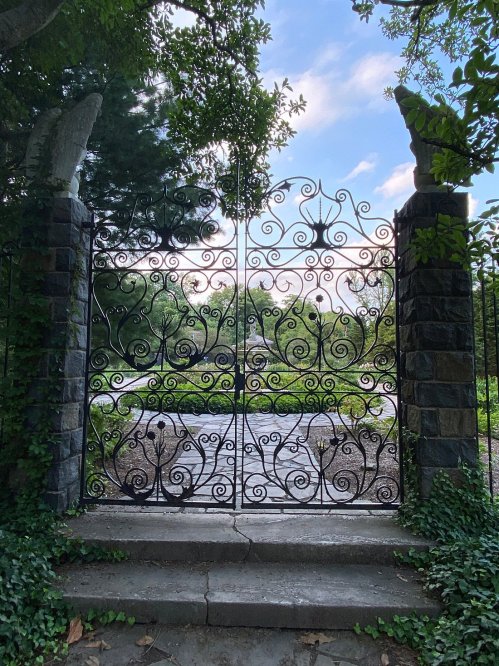 Wrought iron gate with intricate designs, leading to a lush garden, framed by trees and blue sky.