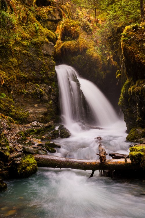 A serene waterfall cascades over moss-covered rocks into a tranquil pool, surrounded by lush greenery.