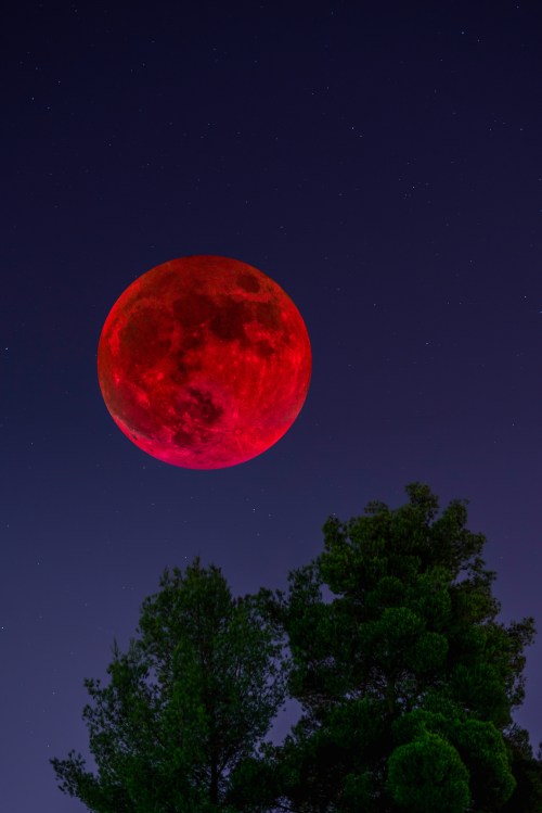 A large red moon rises above dark trees against a starry night sky.