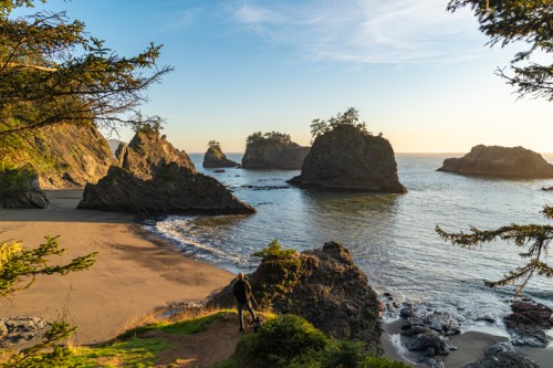 A serene coastal scene with rocky formations, a sandy beach, and trees under a clear sky at sunset.