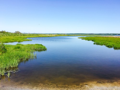 A serene landscape featuring a calm river surrounded by lush green grass under a clear blue sky.