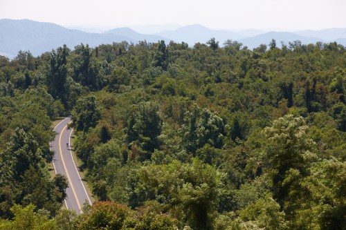 A winding road cuts through lush green trees, with distant mountains visible under a clear sky.