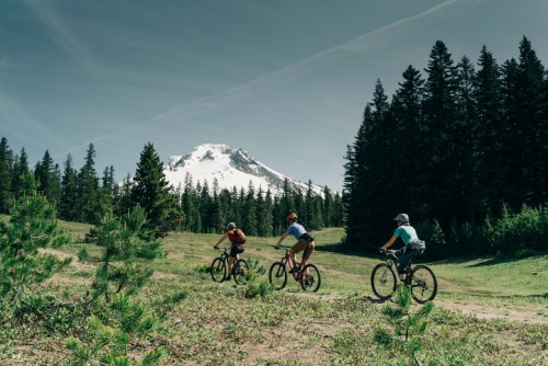Three mountain bikers ride through a lush green landscape with a snow-capped mountain in the background.
