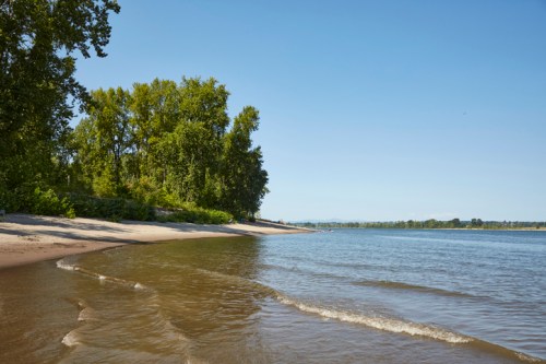 A serene beach scene with gentle waves, lush green trees, and a clear blue sky.