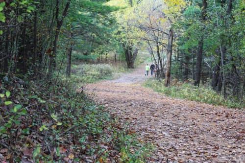 A winding forest path covered in fallen leaves, with two people walking in the distance among trees.