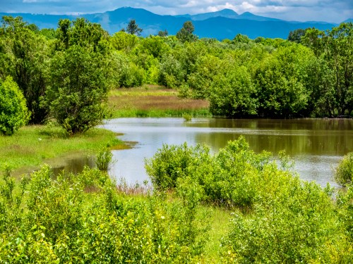 Lush green landscape with a calm pond, surrounded by trees and distant mountains under a partly cloudy sky.