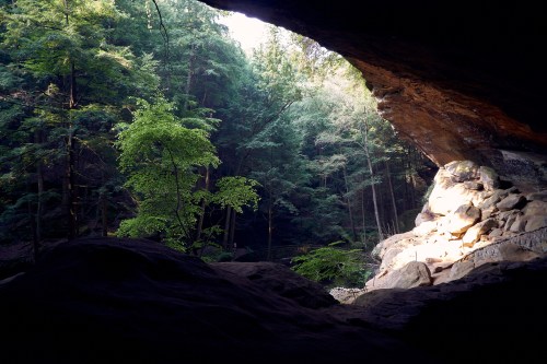 View from inside a cave, showcasing lush green trees and sunlight filtering through the rocky entrance.