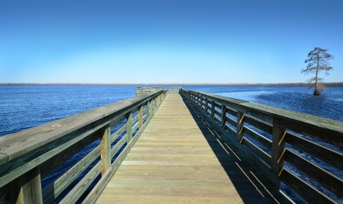 A wooden pier extends over calm water, leading to a clear blue sky and a solitary tree in the distance.
