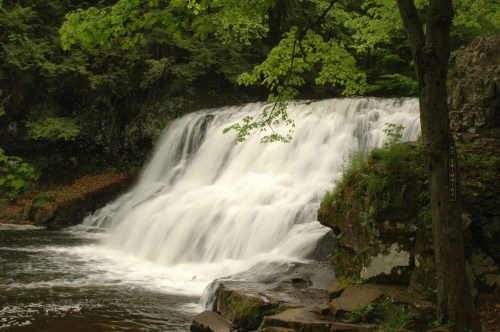 A serene waterfall cascades over rocks, surrounded by lush green trees and foliage.