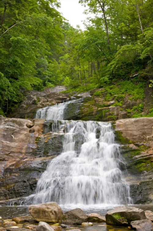 A serene waterfall cascading over rocks, surrounded by lush green trees and foliage.