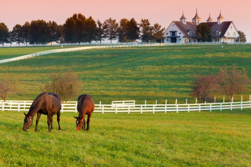 Two horses graze in a lush green field with a large, elegant house and trees in the background at sunset.