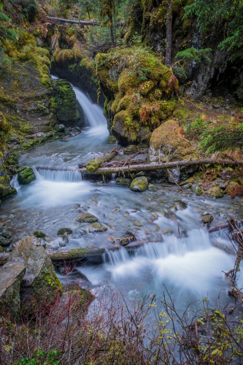 A serene forest scene featuring a cascading waterfall flowing over moss-covered rocks and surrounded by lush greenery.