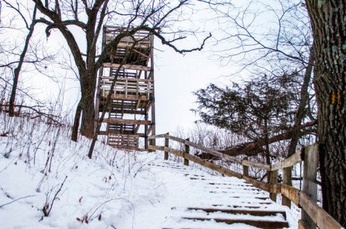 A wooden observation tower stands atop a snowy hill, surrounded by bare trees and a winding staircase leading up.