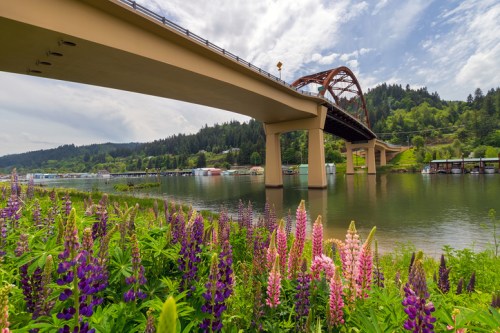 A bridge spans a river, surrounded by lush greenery and vibrant purple and pink flowers in the foreground.