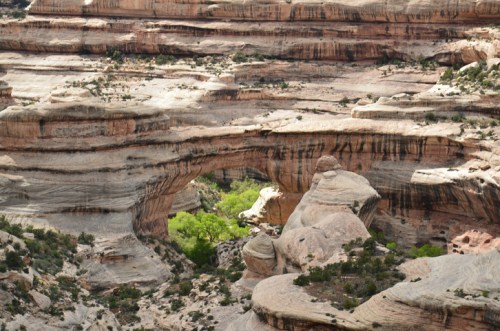 A natural rock arch surrounded by layered sandstone formations and a patch of green vegetation below.