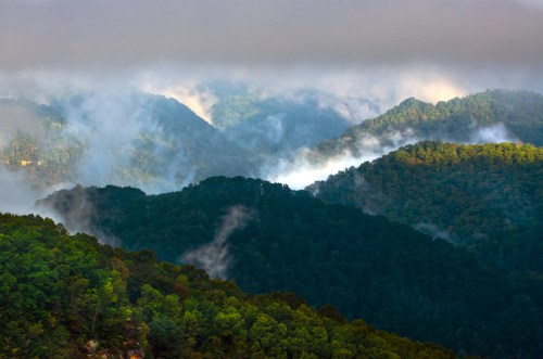 Mist-covered mountains with lush greenery, creating a serene and atmospheric landscape.