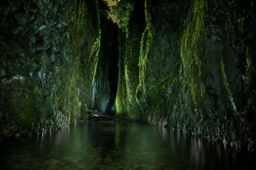 A serene, narrow canyon with moss-covered walls and a calm waterway reflecting soft light.