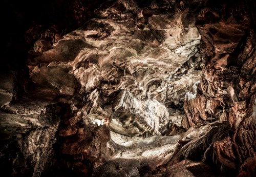 A dramatic cave interior with textured rock formations and subtle lighting, creating an otherworldly atmosphere.