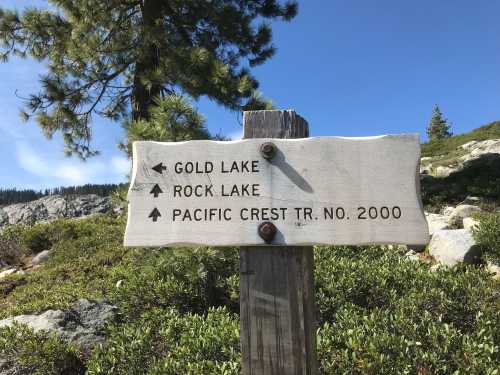 Wooden signpost indicating directions to Gold Lake, Rock Lake, and Pacific Crest Trail No. 2000, surrounded by greenery.