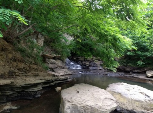 A serene natural scene featuring a small waterfall surrounded by lush greenery and rocky terrain.