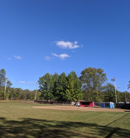 A sunny baseball field with green trees and a clear blue sky, featuring a dirt infield and distant bleachers.