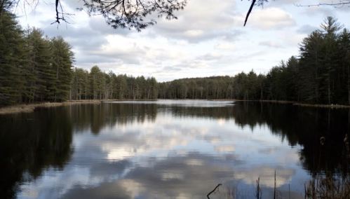 A serene lake surrounded by trees, reflecting clouds and greenery in calm waters under a cloudy sky.