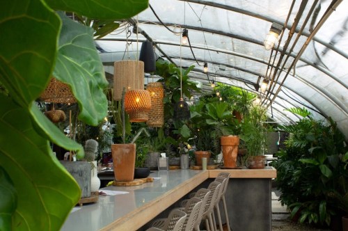 A lush greenhouse interior with hanging lights, plants, and a modern bar area featuring potted plants and seating.