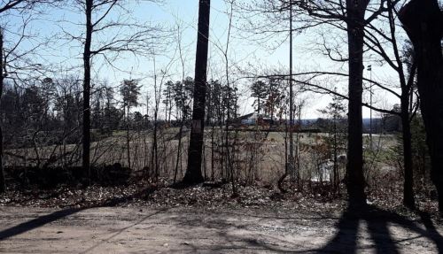 A serene landscape with bare trees, a dirt path, and a distant field under a clear blue sky.