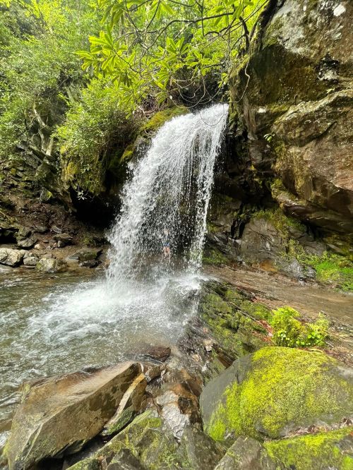 A serene waterfall cascading over rocks into a clear pool, surrounded by lush greenery and moss-covered stones.