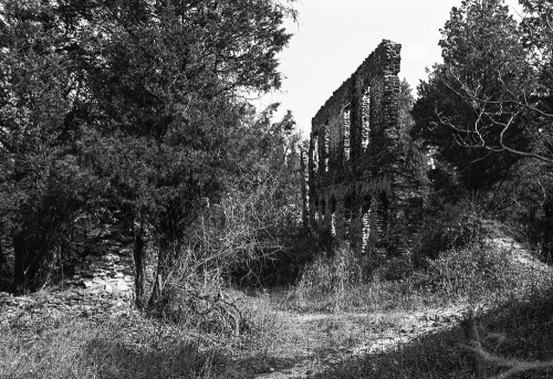 Black and white image of a crumbling stone structure surrounded by overgrown trees and vegetation.