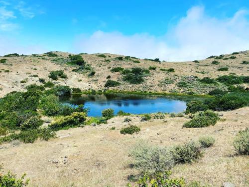 A serene pond surrounded by dry hills and green shrubs under a clear blue sky.