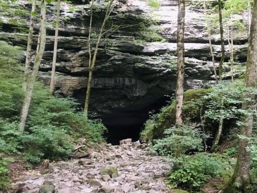 A rocky path leads to a dark cave entrance, surrounded by lush green trees and foliage.