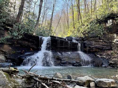 A serene waterfall cascades over rocks into a clear pool, surrounded by lush greenery and trees.