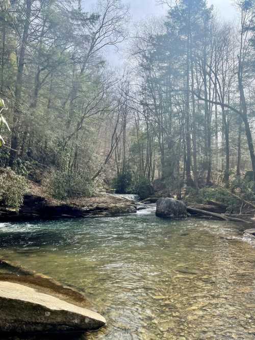 A serene river flows through a forest, surrounded by trees and rocky banks under a misty sky.