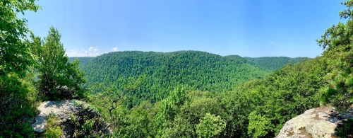 A panoramic view of lush green hills under a clear blue sky, surrounded by trees and natural landscape.