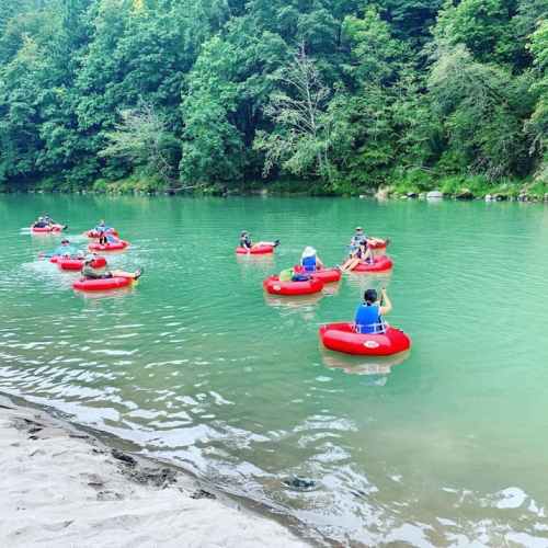A group of people in red kayaks paddling on a calm green river surrounded by lush trees.