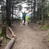 A person joyfully jumping on a forest trail surrounded by trees and greenery.