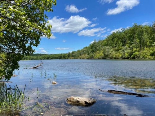 A serene lake surrounded by lush greenery and blue skies, with gentle ripples on the water's surface.