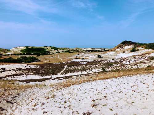 A sandy landscape with rolling hills, sparse vegetation, and a clear blue sky in the background.