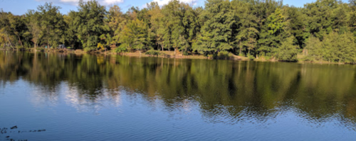 A serene lake surrounded by lush green trees, reflecting the sky and foliage on its calm surface.