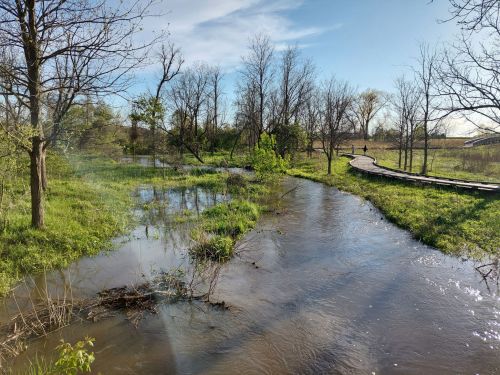 A serene landscape featuring a winding stream, lush greenery, and a wooden path under a clear blue sky.