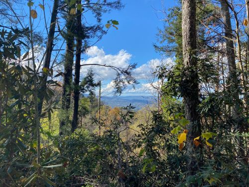 A scenic view through trees, showcasing mountains under a blue sky with clouds.