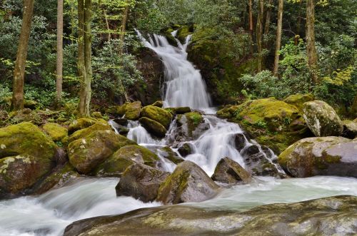 A serene waterfall cascades over moss-covered rocks, surrounded by lush green trees in a tranquil forest setting.