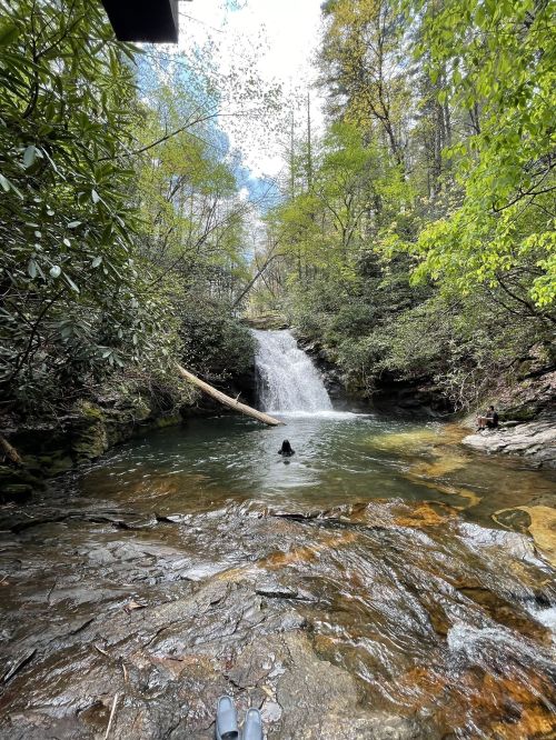 A serene waterfall cascades into a clear pool surrounded by lush greenery, with a person wading in the water.